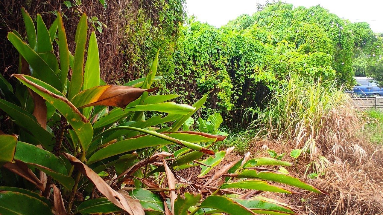 Photo 13 of Takahara 4-chome, Okinawa City (Okinawa City, Land)
