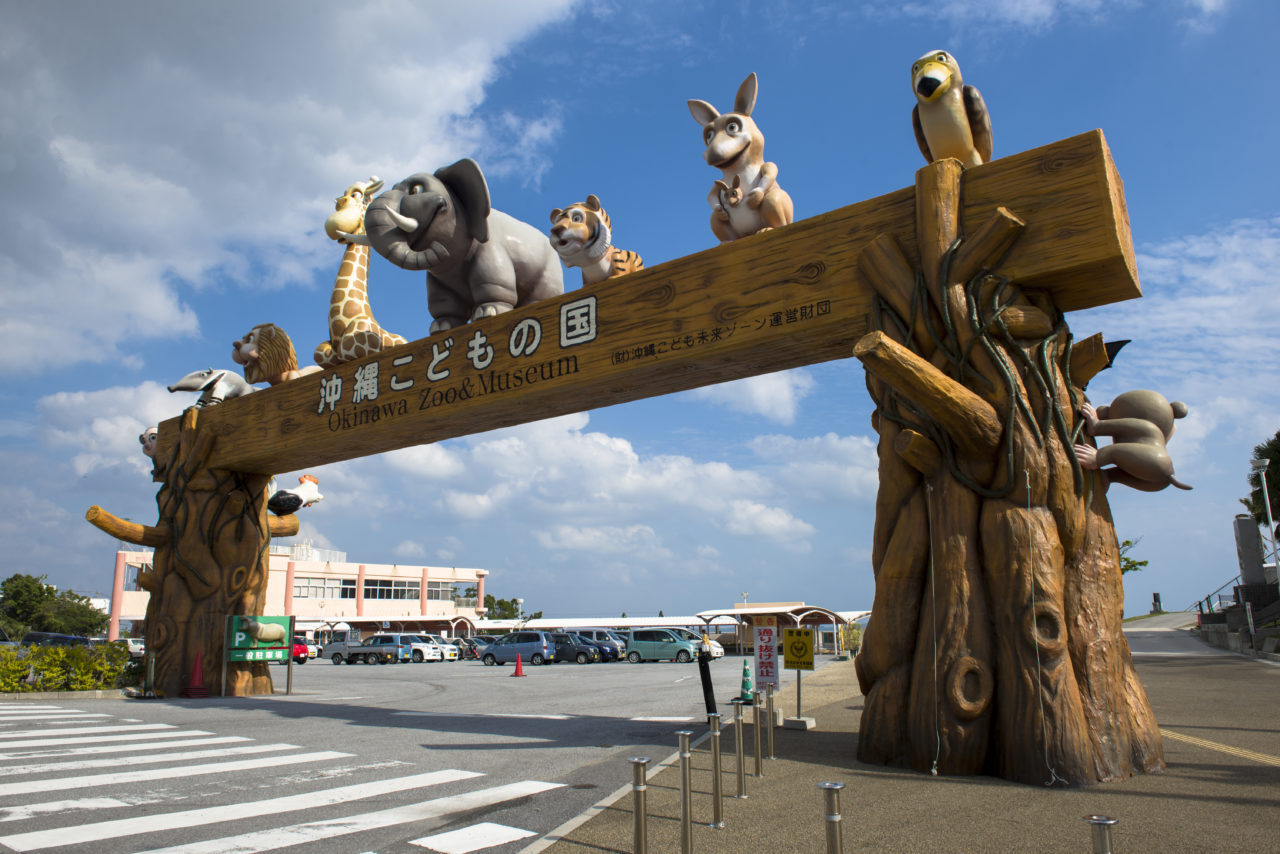 Photo 16 of Takahara 4-chome, Okinawa City (Okinawa City, Land)