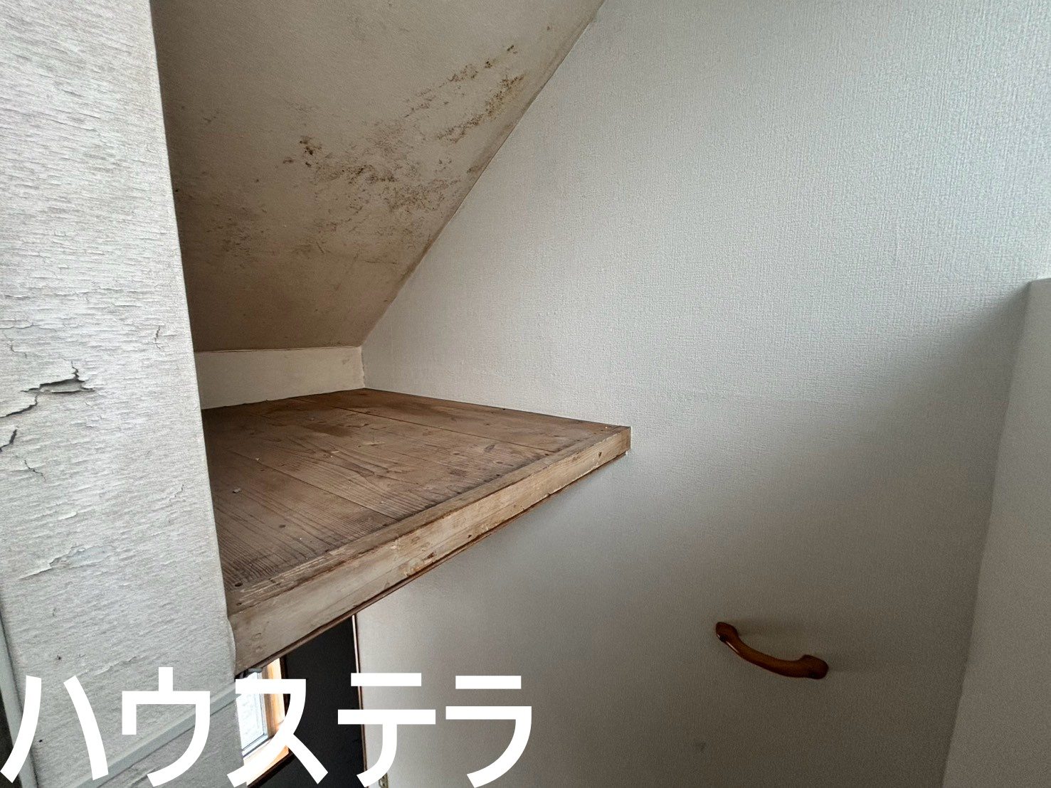 沖縄市園田1丁目 店舗 1F(沖縄市・収益)の写真11