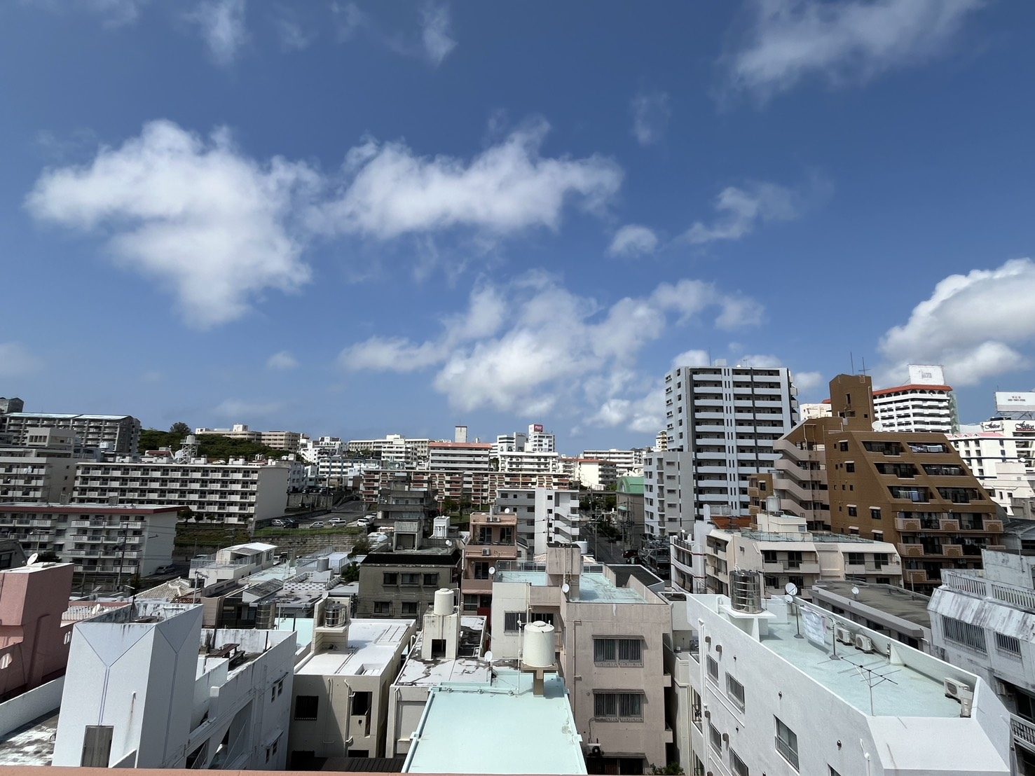 ライオンズマンション泊三丁目第3(那覇市・マンション)の写真14