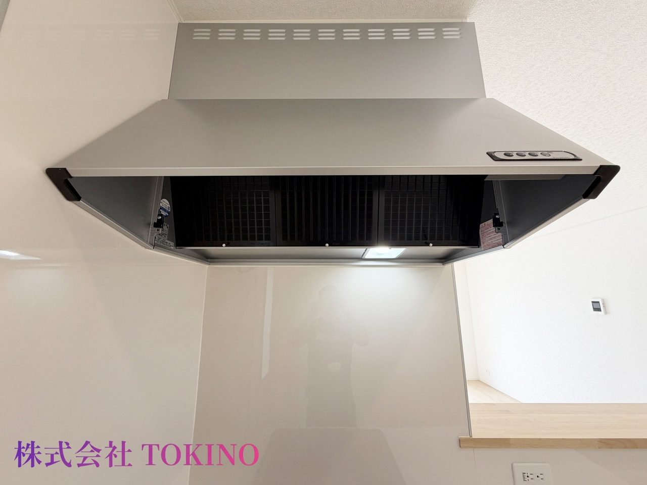 豊見城市饒波第1 全3棟 2号棟(豊見城市・戸建)の写真12
