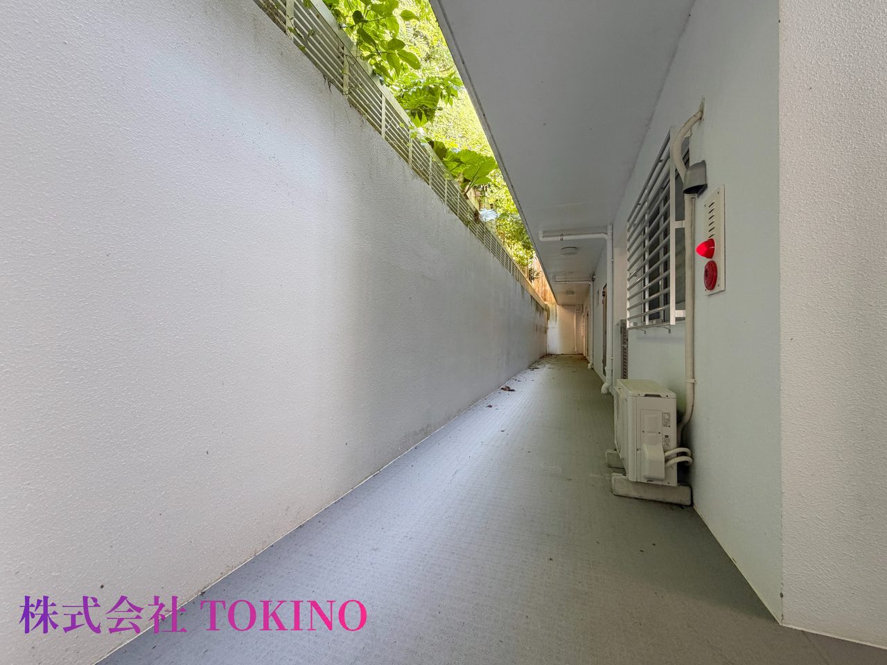 ホワイトヒルズＡ棟（豊見城市・マンション）の写真3