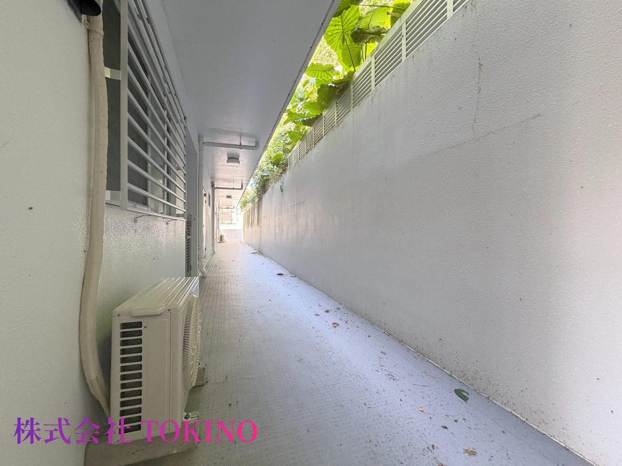 ホワイトヒルズＡ棟（豊見城市・マンション）の写真4