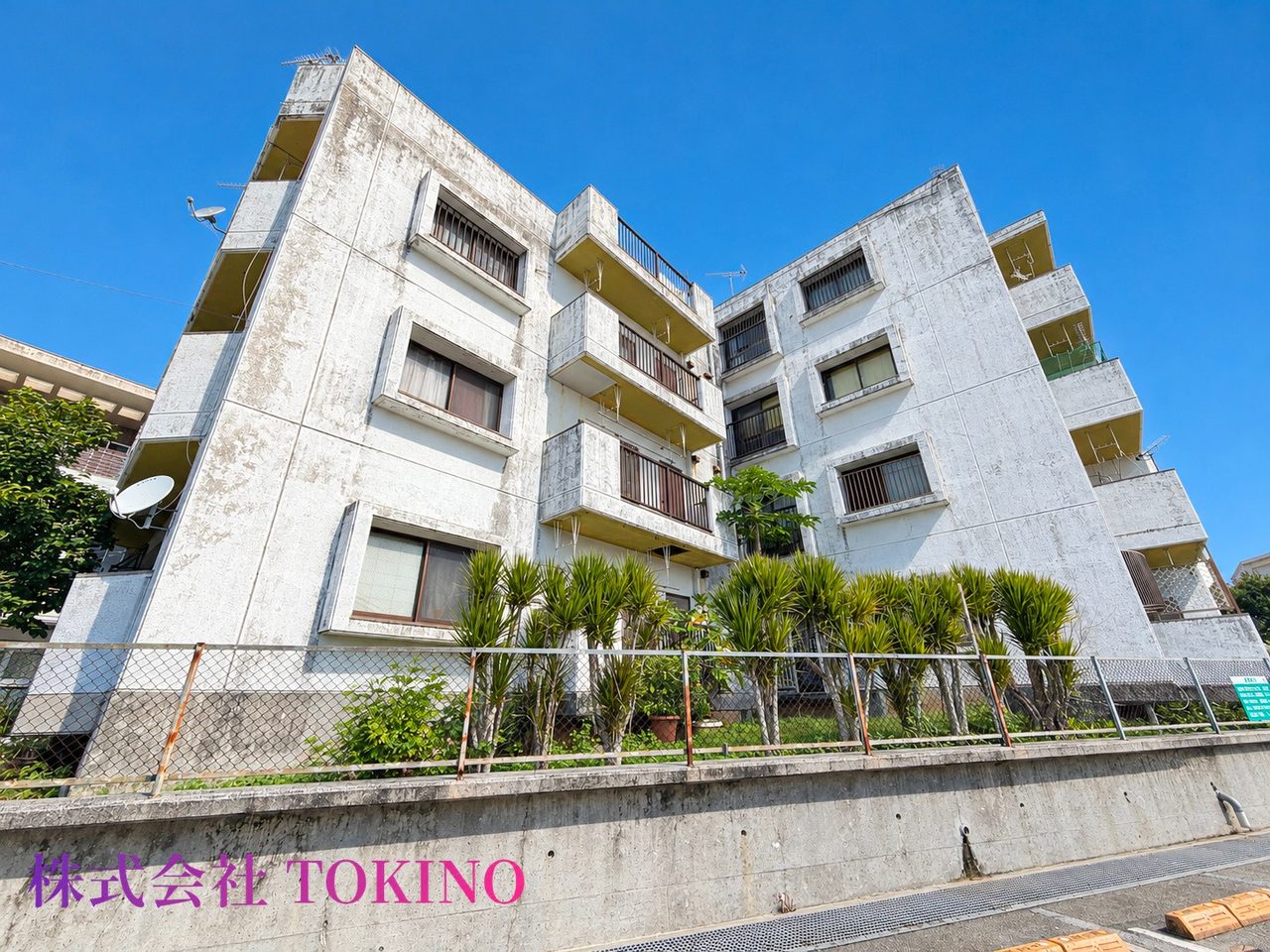 サニーハイツ高原(沖縄市・マンション)の写真9