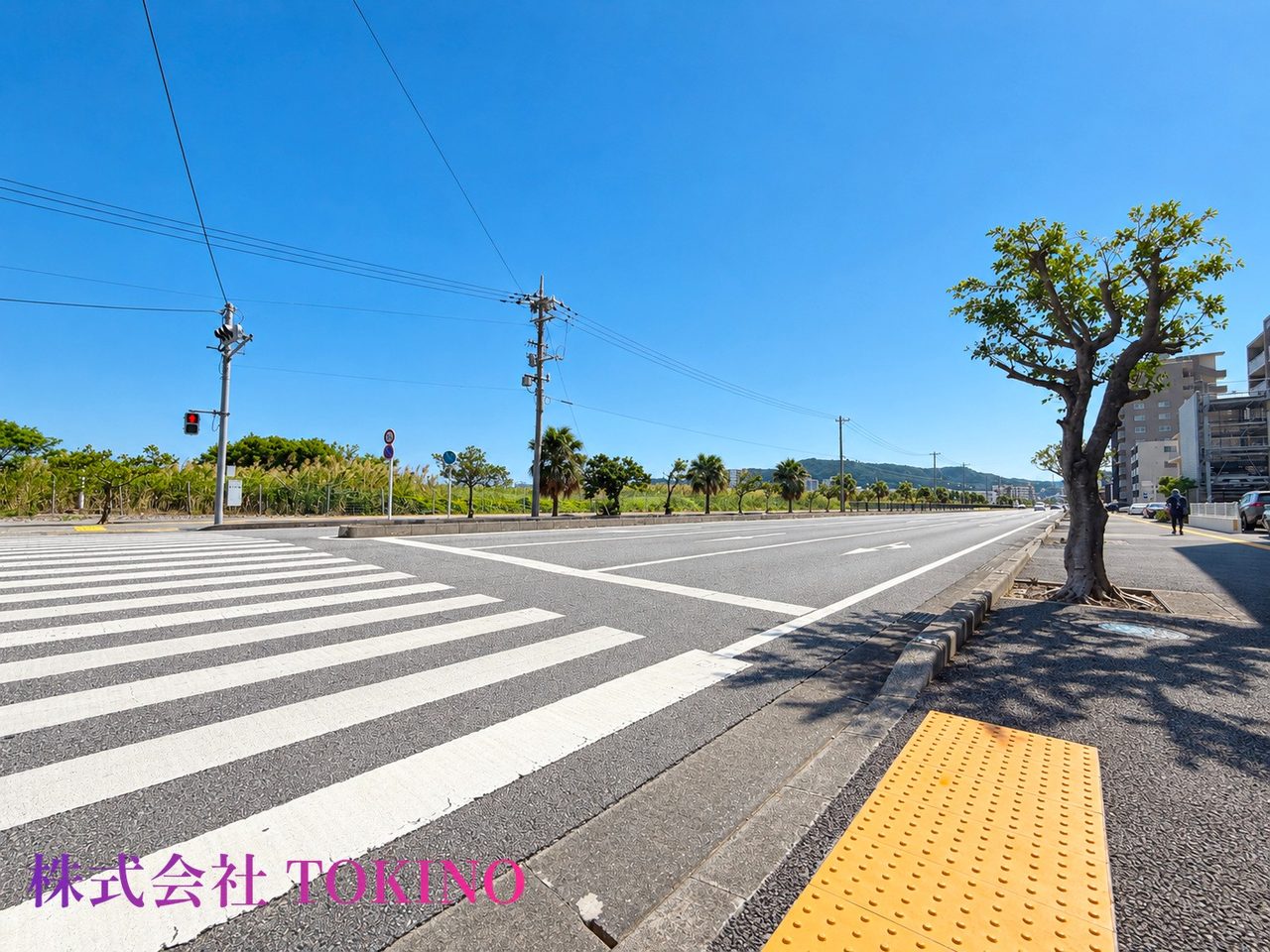 レーヴグランディ東浜Sea&Park(与那原町・マンション)の写真29