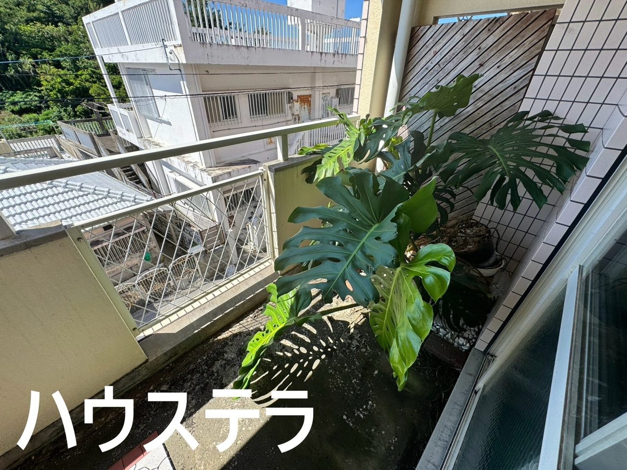 グランシャトレ繁多川(那覇市・マンション)の写真21