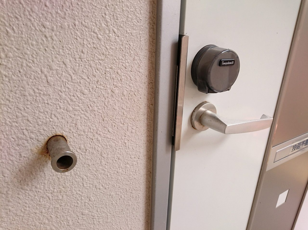 レオネクストゆうな 105号（那覇市・マンション）の写真8